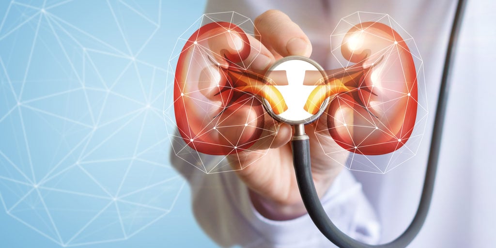 Nephrology kidney, dialysis sitaram bhartia, hemodialysis, nephrologist, nephrology