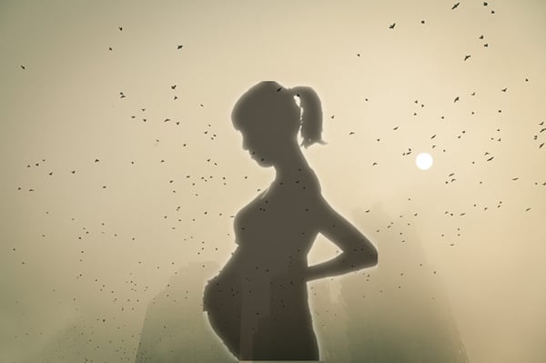 air pollution and pregnancy