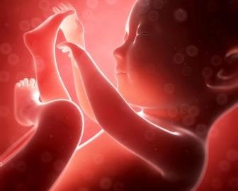 bleeding during early pregnancy