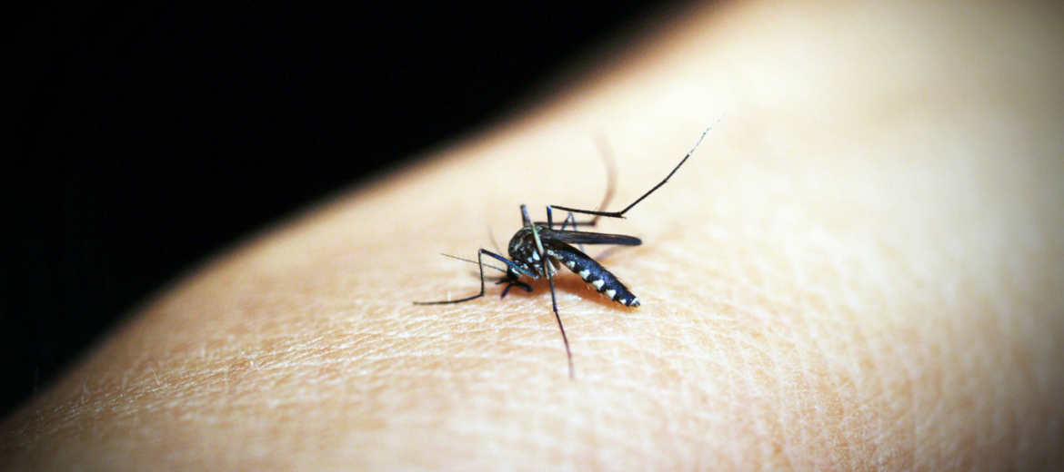 Dengue Symptoms in Hindi