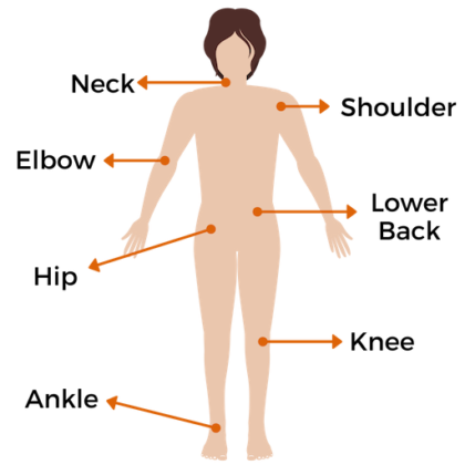 Physiotherapy areas treated cropped