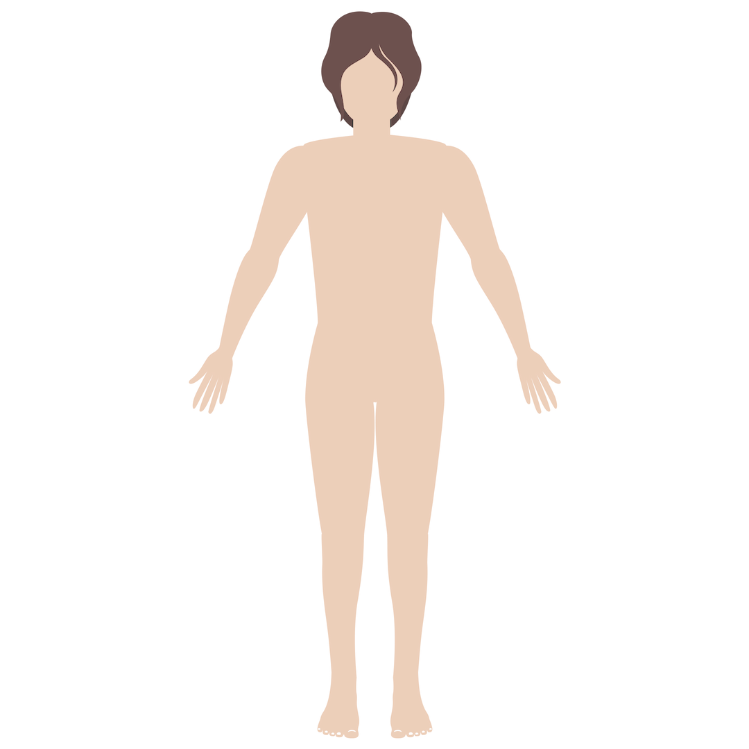 human body | Sitaram Bhartia Institute of Science and Research