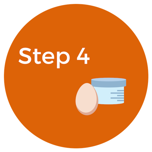 step 4 artificial fertilization