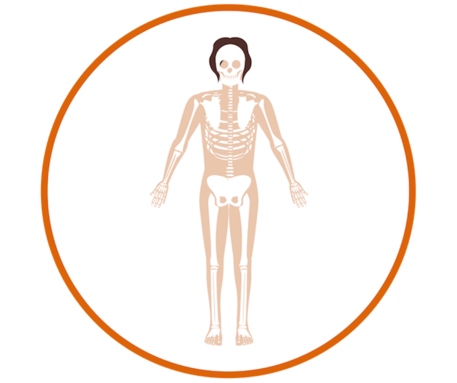 peds-rheumatology