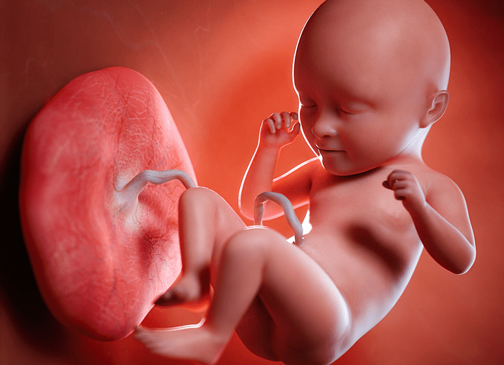Posterior Placenta: 5 Myths (and Facts) You Need to Know