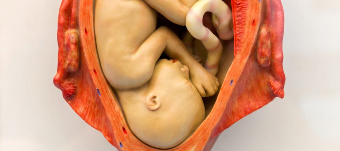 Vertex Presentation: What It Means for You & Your Baby