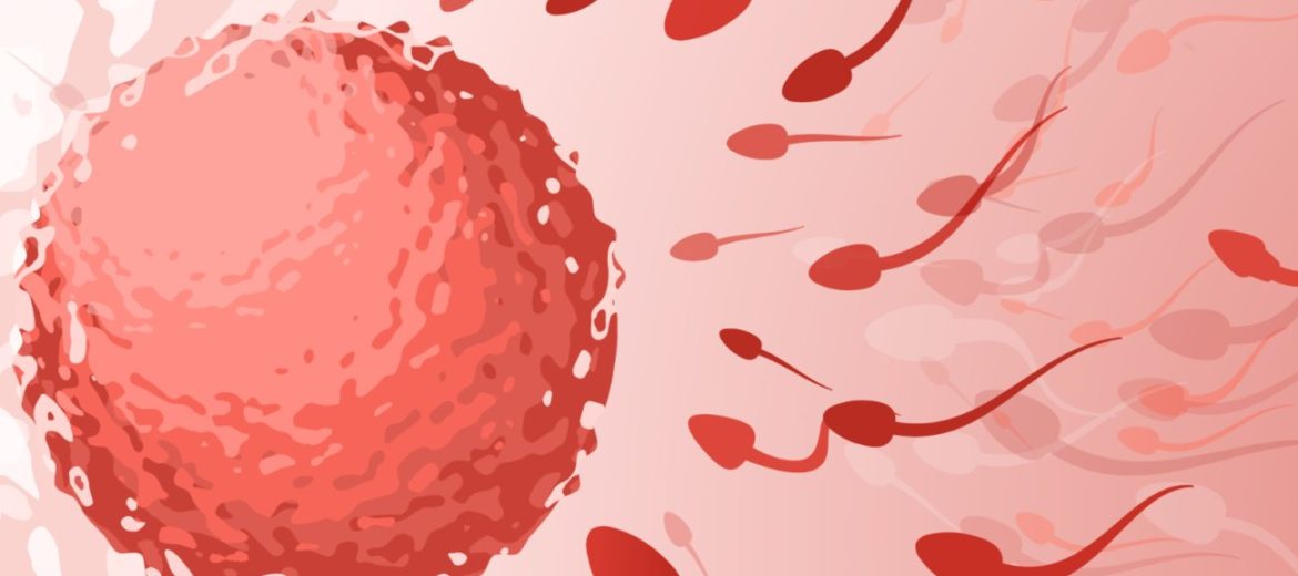 Assisted Reproductive Technology: What, Why and How It Is Done