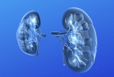 enlarged kidneys-hydronephrosis