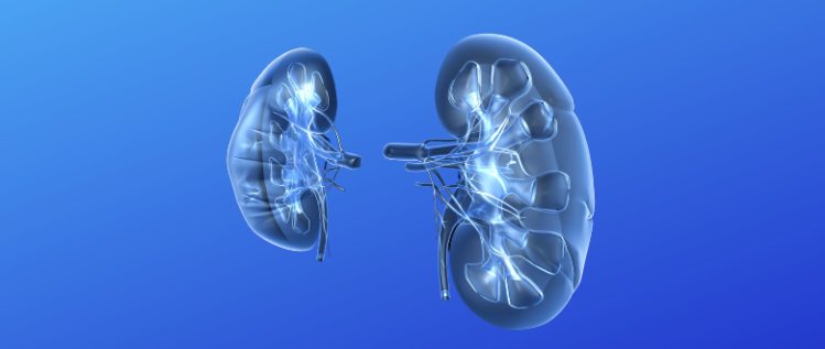 enlarged kidneys-hydronephrosis