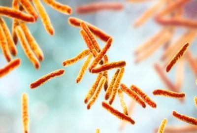 genital tuberculosis bacteria