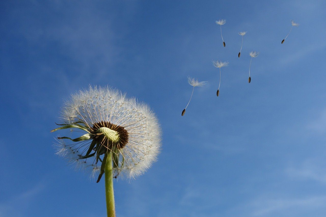 Sailing Through Seasonal Allergies [Video]